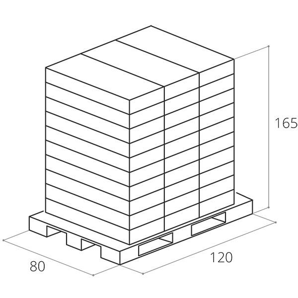 Standartinė paletė
